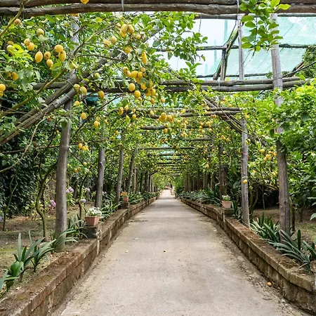 Villa Romantic Garden *